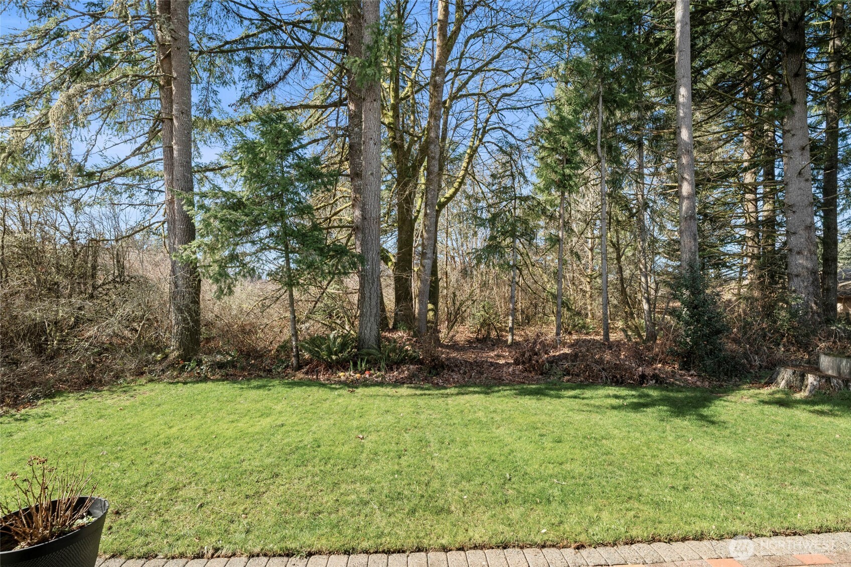 3349 68th Avenue Southwest Olympia, WA 98512 - Photo 29 of 36 a view of outdoor space and yard