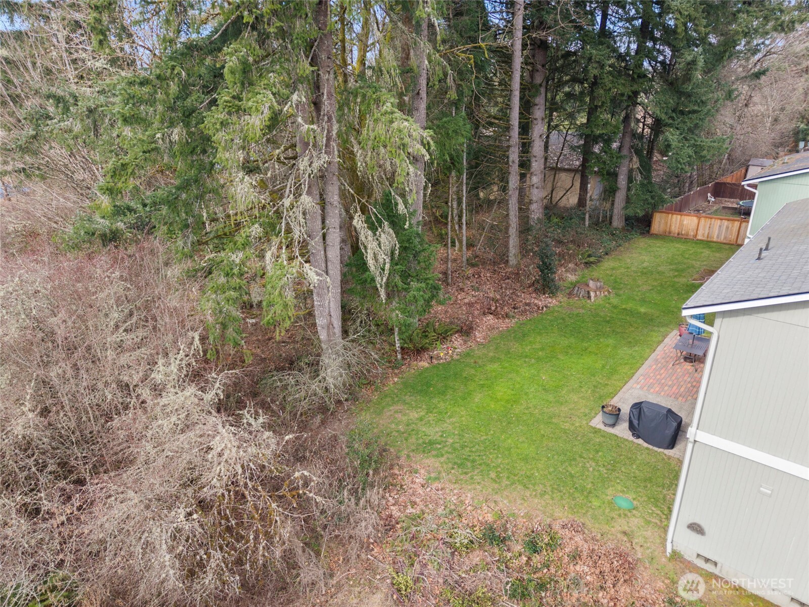 3349 68th Avenue Southwest Olympia, WA 98512 - Photo 31 of 36 a view of yard with green space and trees around