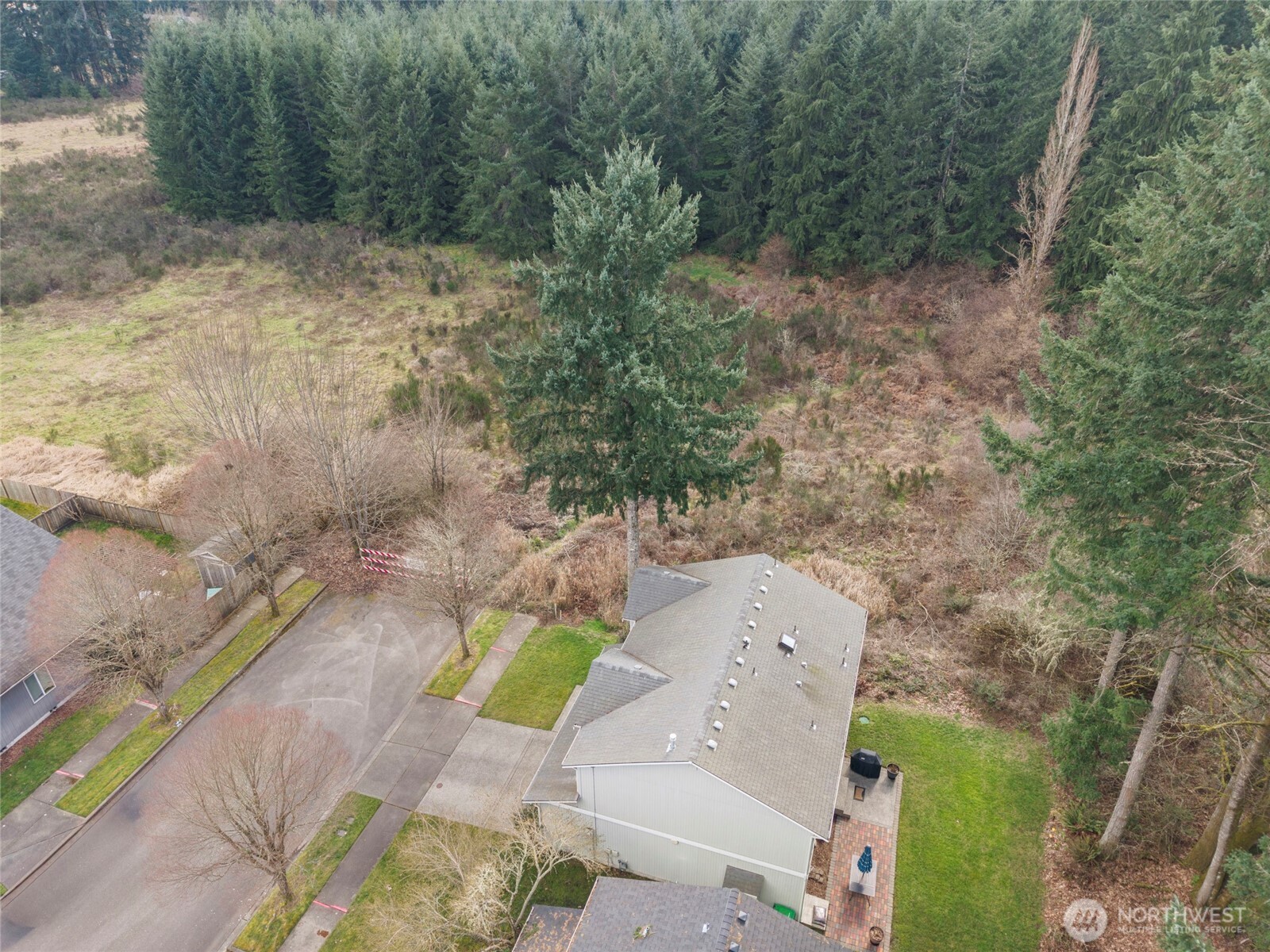 3349 68th Avenue Southwest Olympia, WA 98512 - Photo 33 of 36 a view of a yard