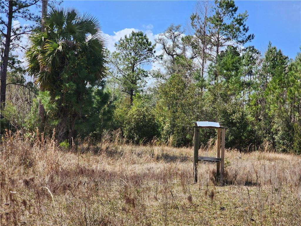 1012 Star Ranch Road Brunswick, GA 31523 - Photo 33 of 43