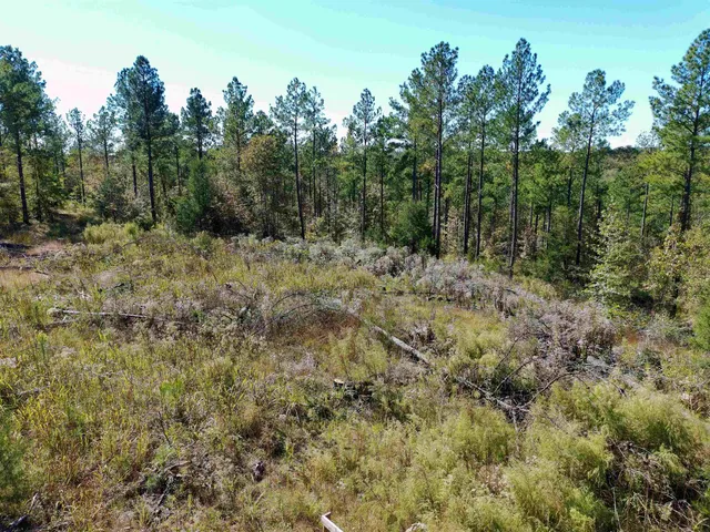 $465,000 | 0 Fields Road, Pauline, SC 29374