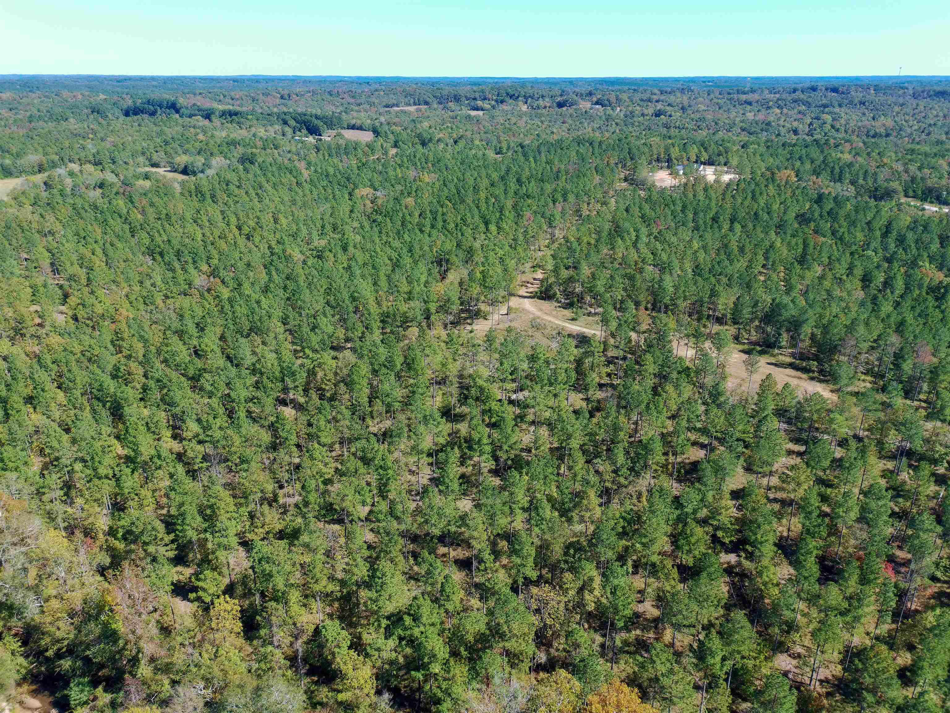 0 Fields Road Pauline, SC 29374 - Photo 12 of 12