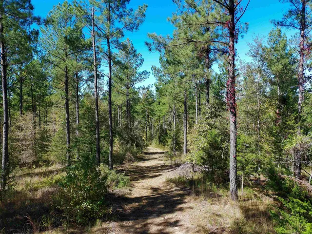 $465,000 | 0 Fields Road, Pauline, SC 29374