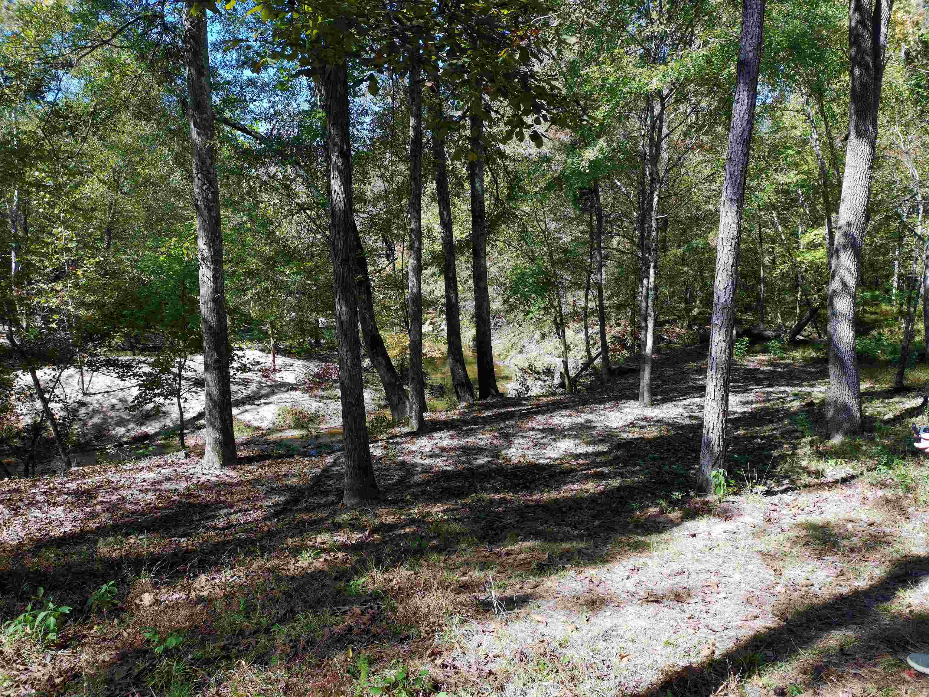 0 Fields Road Pauline, SC 29374 - Photo 5 of 12