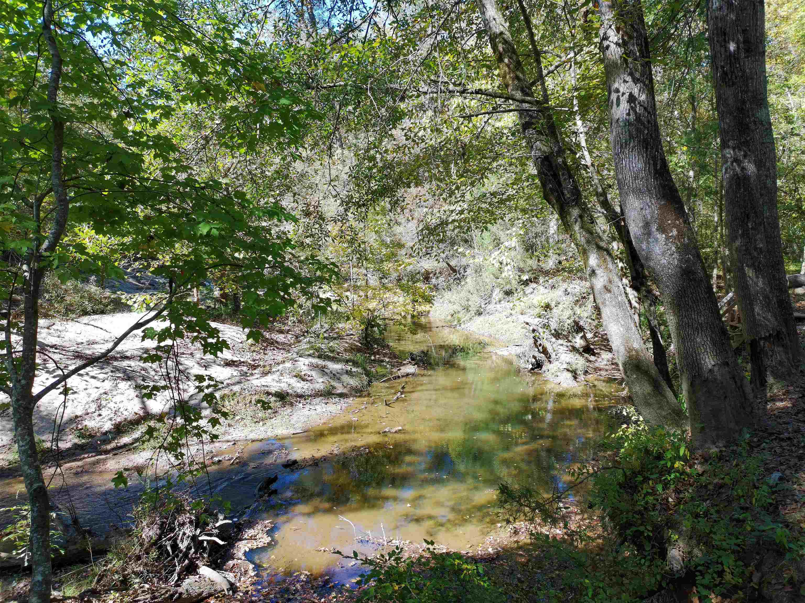 0 Fields Road Pauline, SC 29374 - Photo 6 of 12