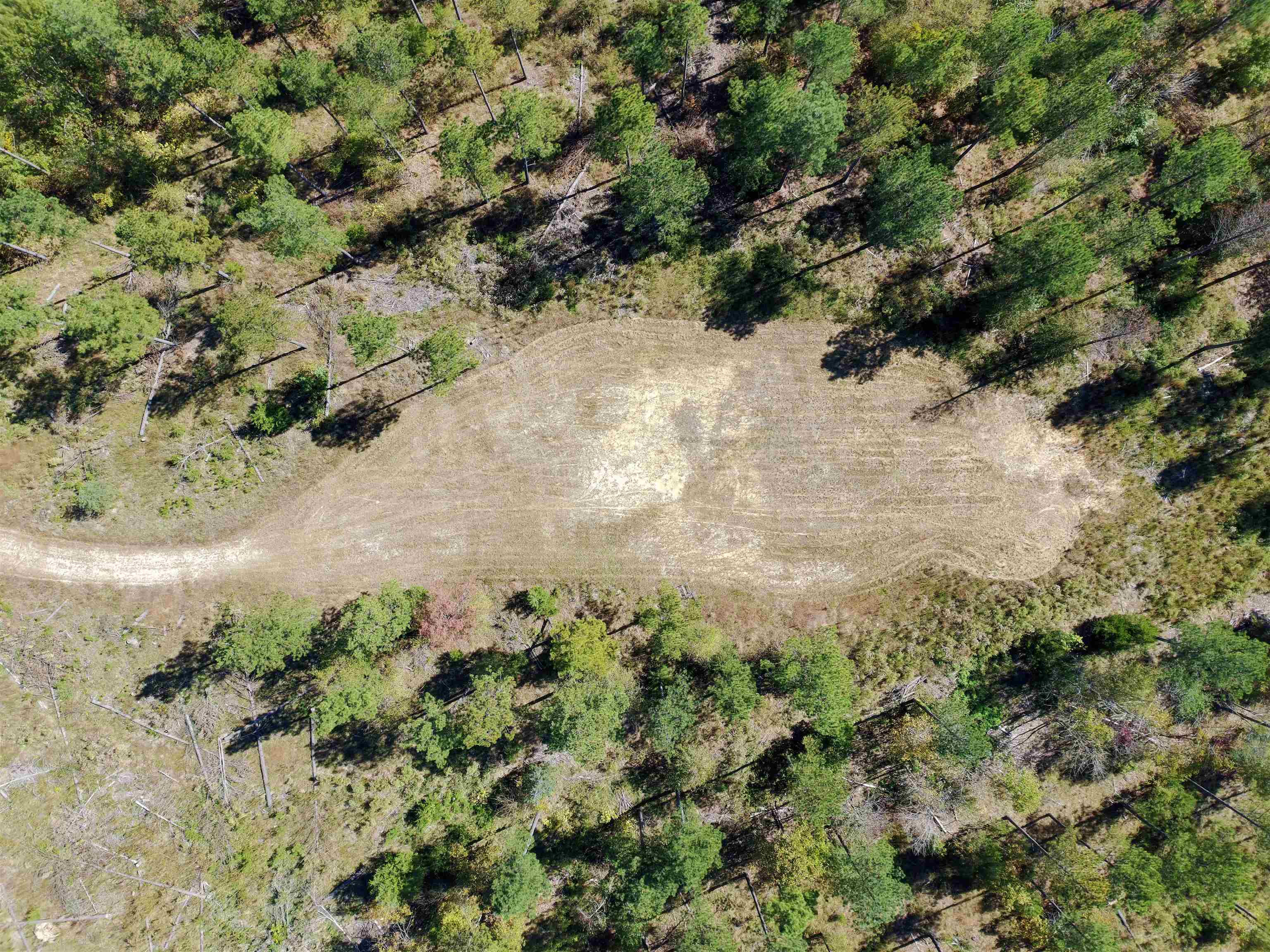 0 Fields Road Pauline, SC 29374 - Photo 7 of 12