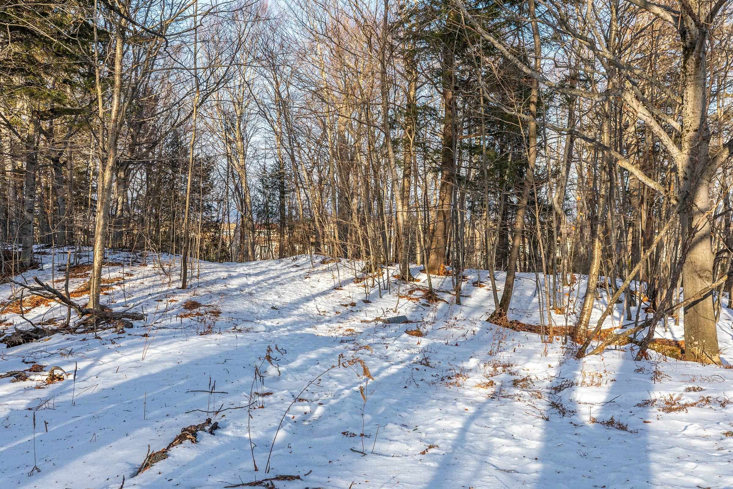 56 Shattarack Road, Unit D 7 Stratton, VT 05155 - Photo 21 of 22