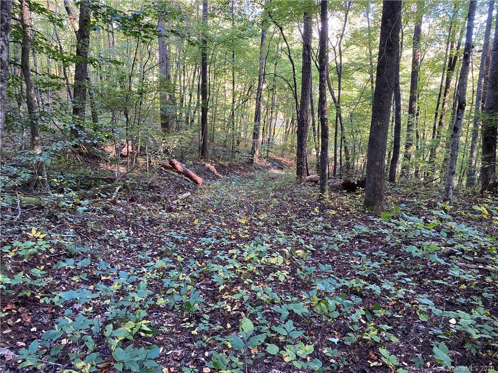 0 Us 74 Highway Sylva, NC 28779 - Photo 19 of 26 a view of outdoor space with lots of trees