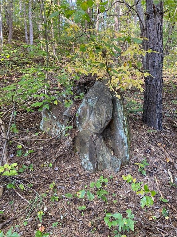 0 Us 74 Highway Sylva, NC 28779 - Photo 20 of 26 a view of a tree in a yard