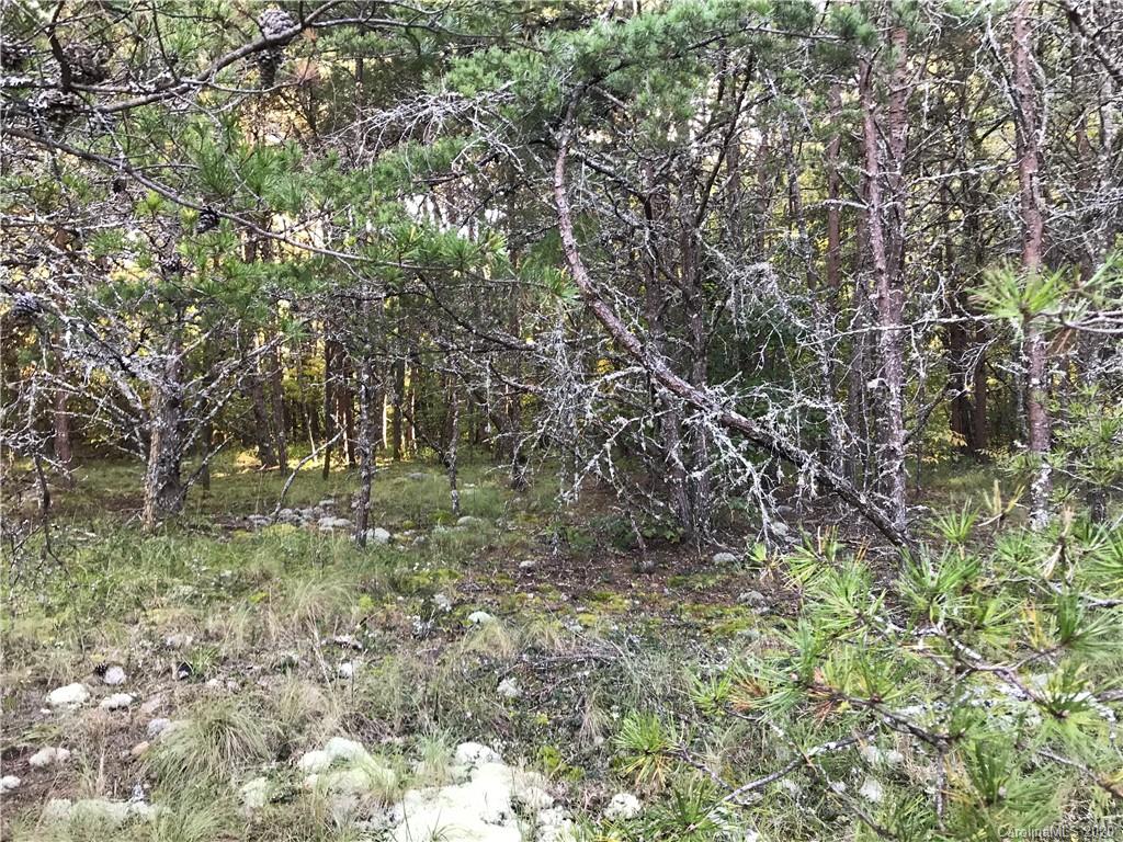 0 Us 74 Highway Sylva, NC 28779 - Photo 21 of 26 a view of forest