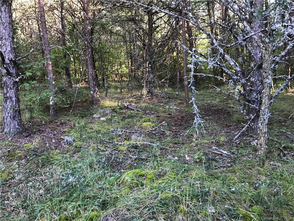 0 Us 74 Highway Sylva, NC 28779 - Photo 23 of 26 a view of a forest with trees in the background