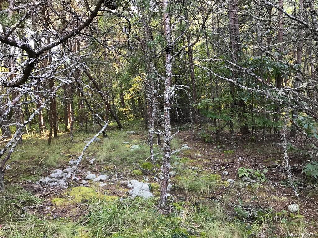 0 Us 74 Highway Sylva, NC 28779 - Photo 24 of 26 a view of a forest that has a tree