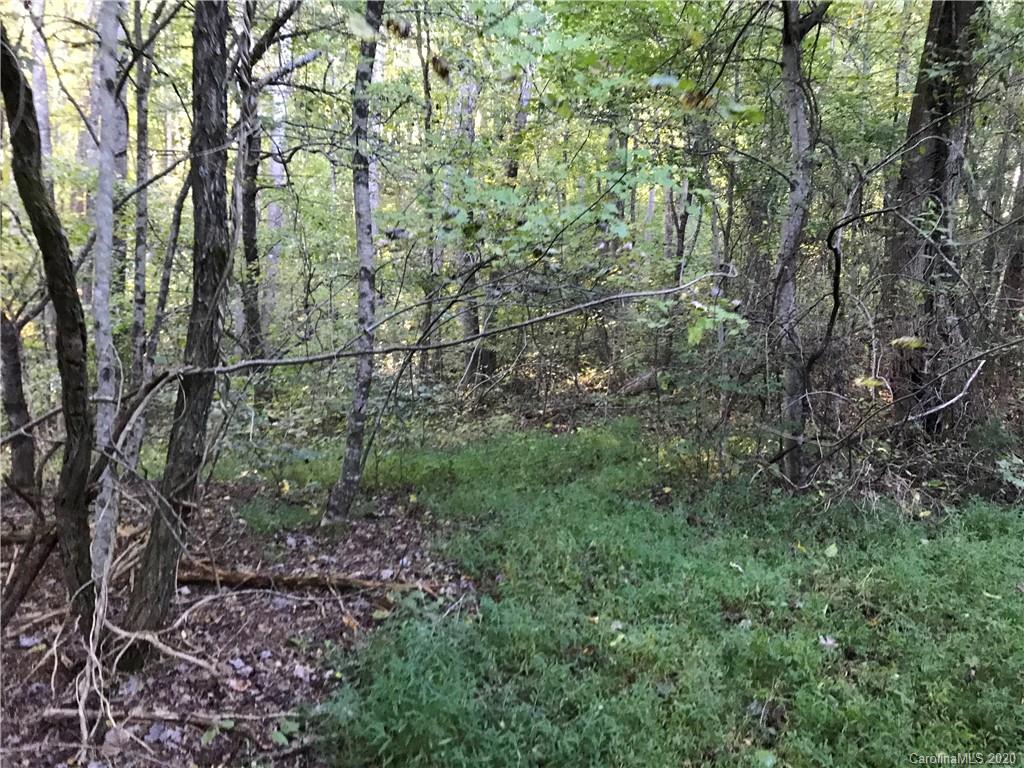 0 Us 74 Highway Sylva, NC 28779 - Photo 25 of 26 a view of a forest with trees in the background