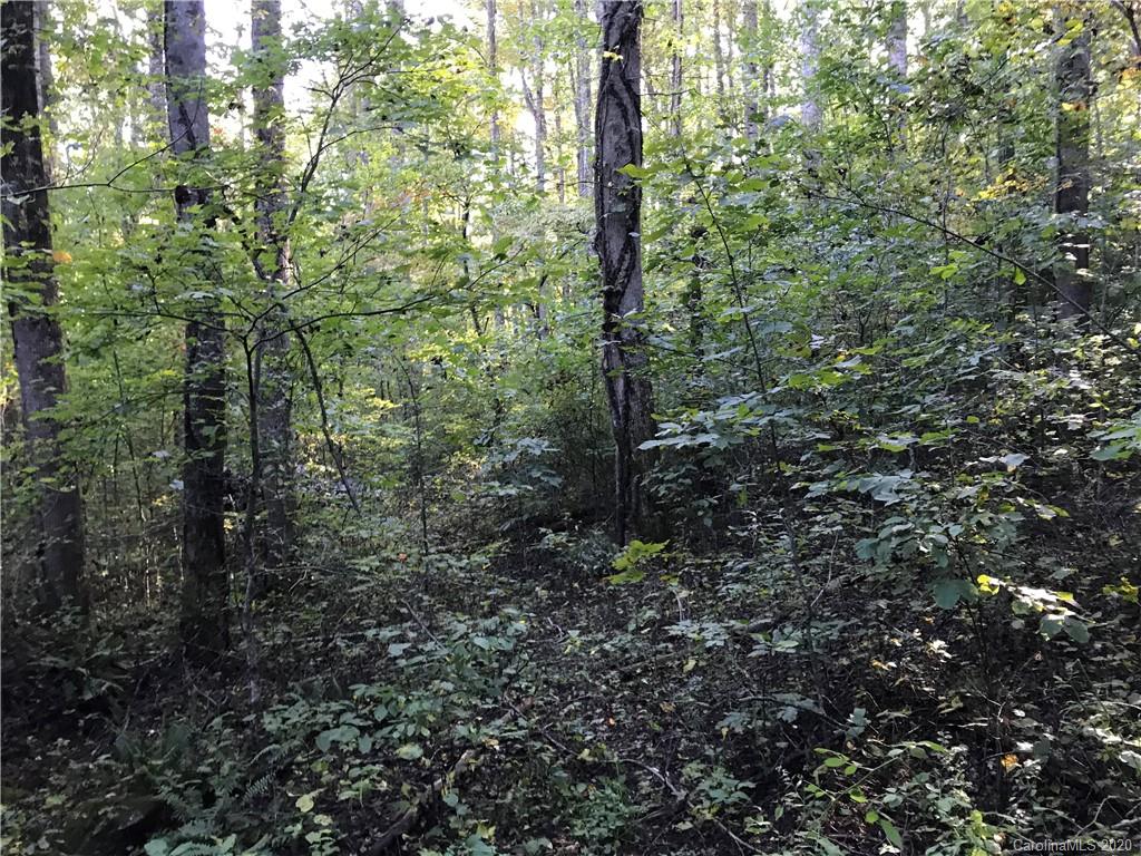 0 Us 74 Highway Sylva, NC 28779 - Photo 26 of 26 a view of a forest with trees