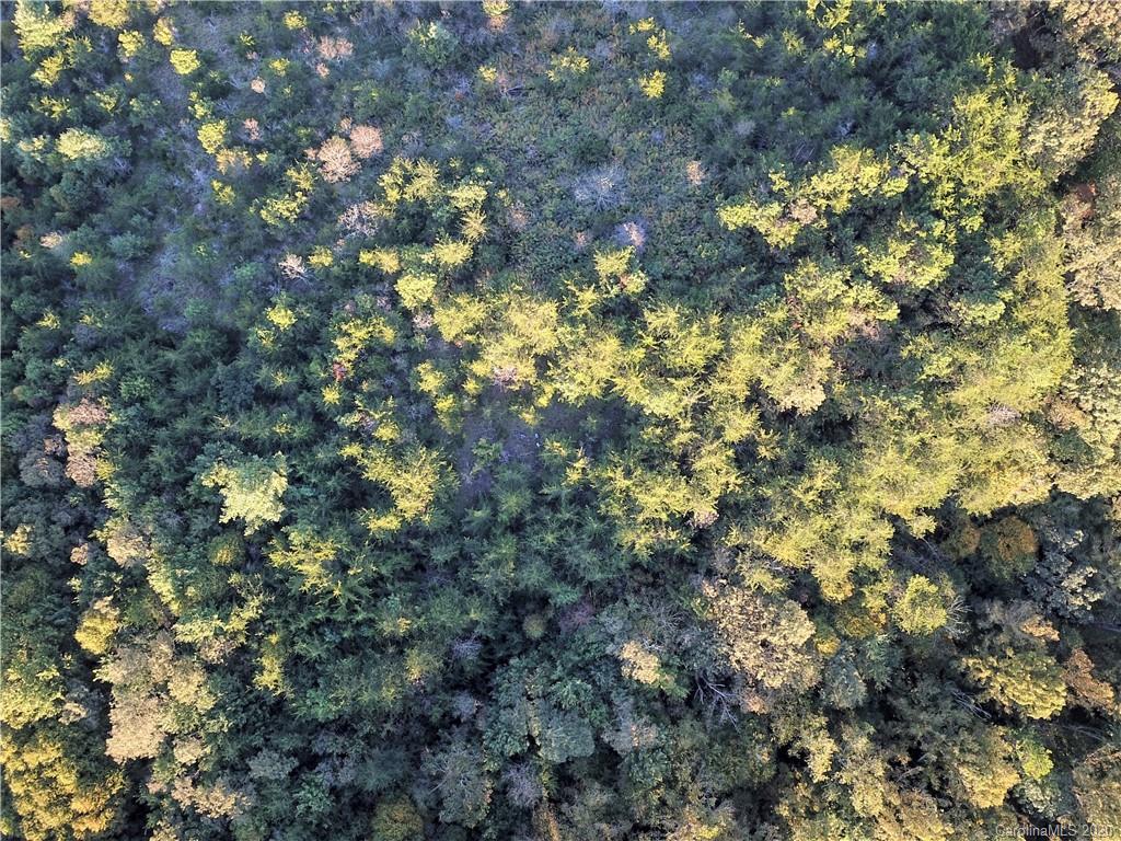 0 Us 74 Highway Sylva, NC 28779 - Photo 4 of 26 a view of a tree