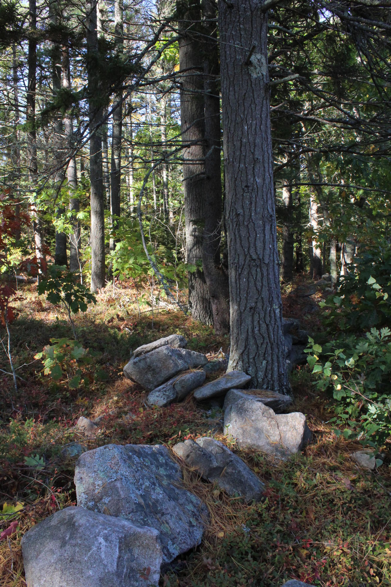 309 Berrys Mill Road West Bath, ME 04530 - Photo 6 of 9 063