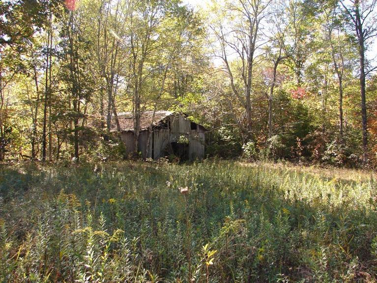 1800 Anderson Road Breeding, KY 42715 - Photo 5 of 7 Gallery Image 5