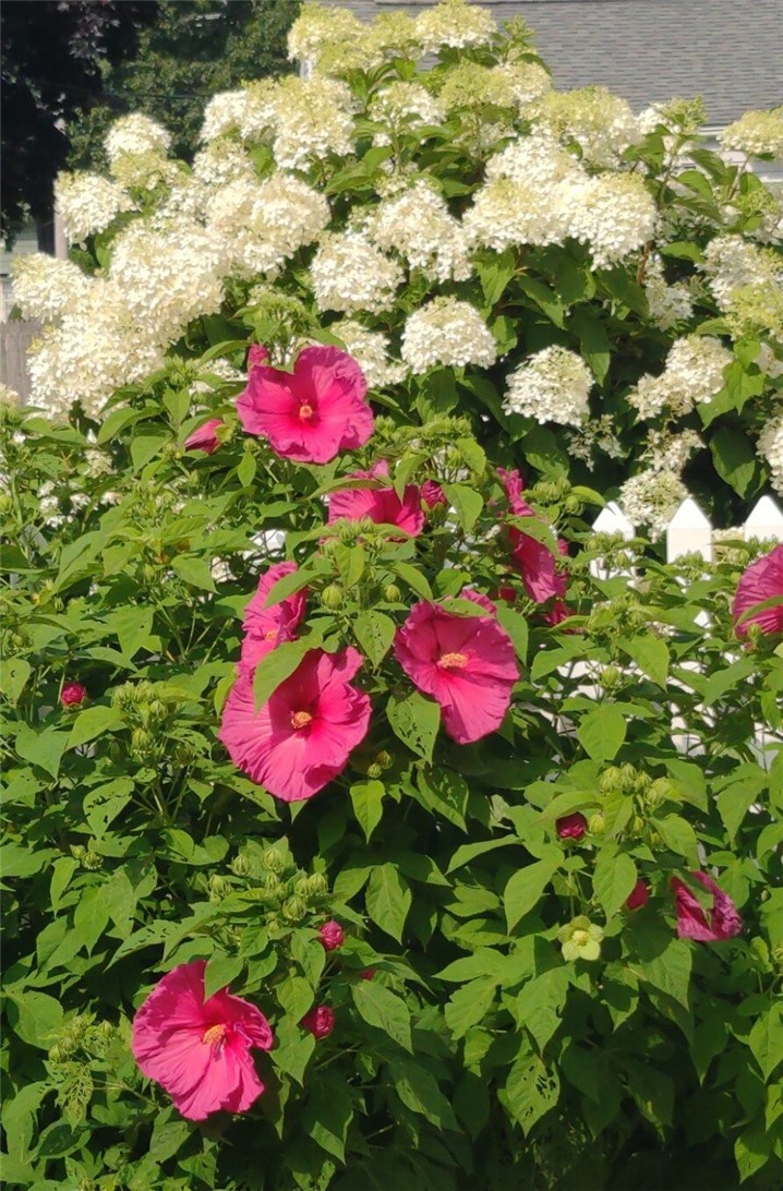 26 Potomac Road Warwick, RI 02888 - Photo 47 of 50