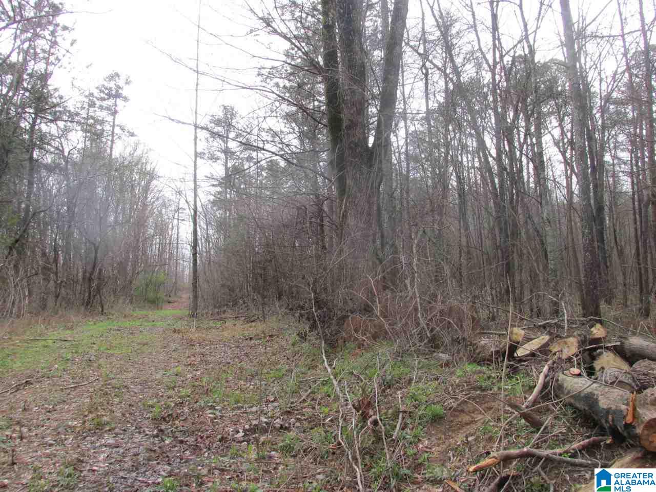 0 Wheeler Road, Unit 1 Blountsville, AL 35031 - Photo 1 of 6