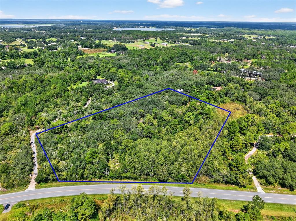 a view of a green field with lots of bushes