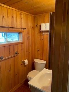 52358 Elder Road, Unit 52 Big Creek, CA 93605 - Photo 15 of 38 a bathroom that has a toilet in it