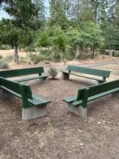 a view of yard with trees