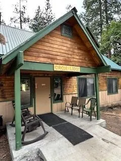 a view of a forest with a tree
