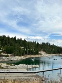 52358 Elder Road, Unit 52 Big Creek, CA 93605 - Photo 36 of 38 a view of a lake view