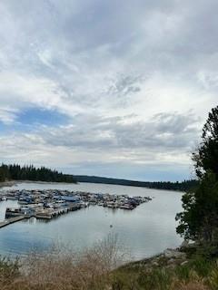 52358 Elder Road, Unit 52 Big Creek, CA 93605 - Photo 37 of 38 a view of a lake and outdoor space