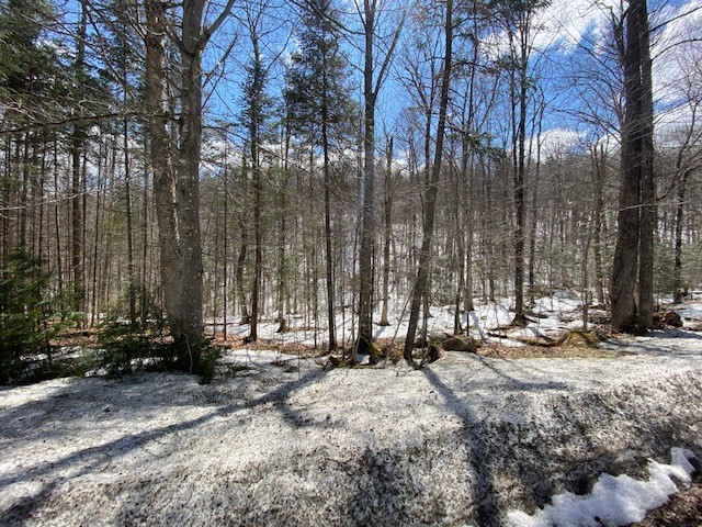94 Goodnow Flow Road Newcomb, NY 12852 - Photo 25 of 25 Gallery Image 25