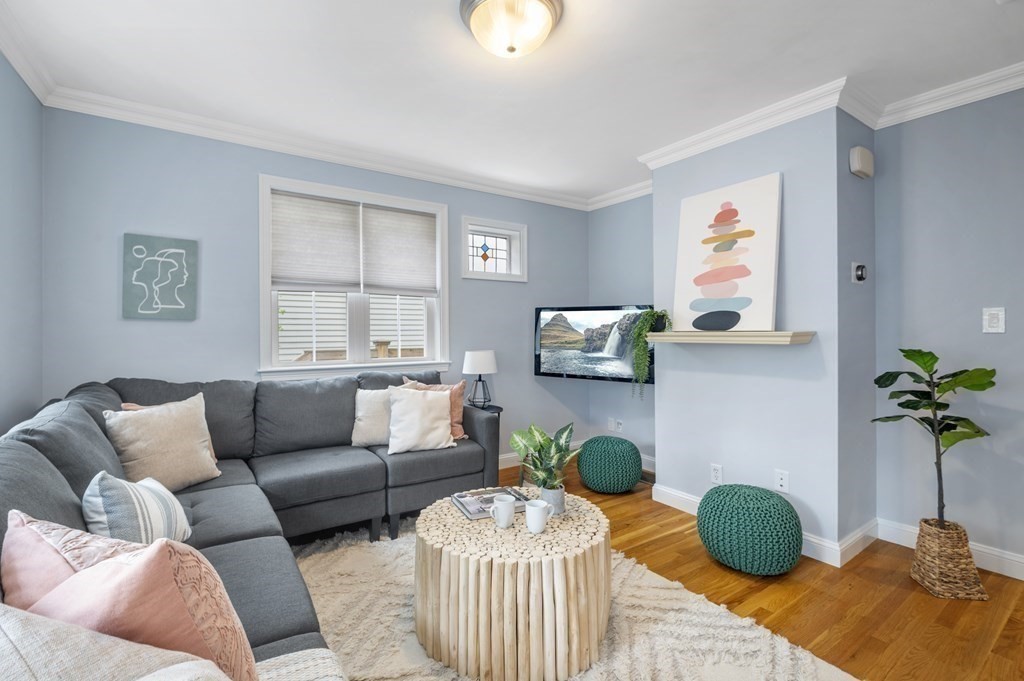 2 Reed St Court, Unit 2 Cambridge, MA 02140 - Photo 2 of 31 a living room with furniture and a potted plant