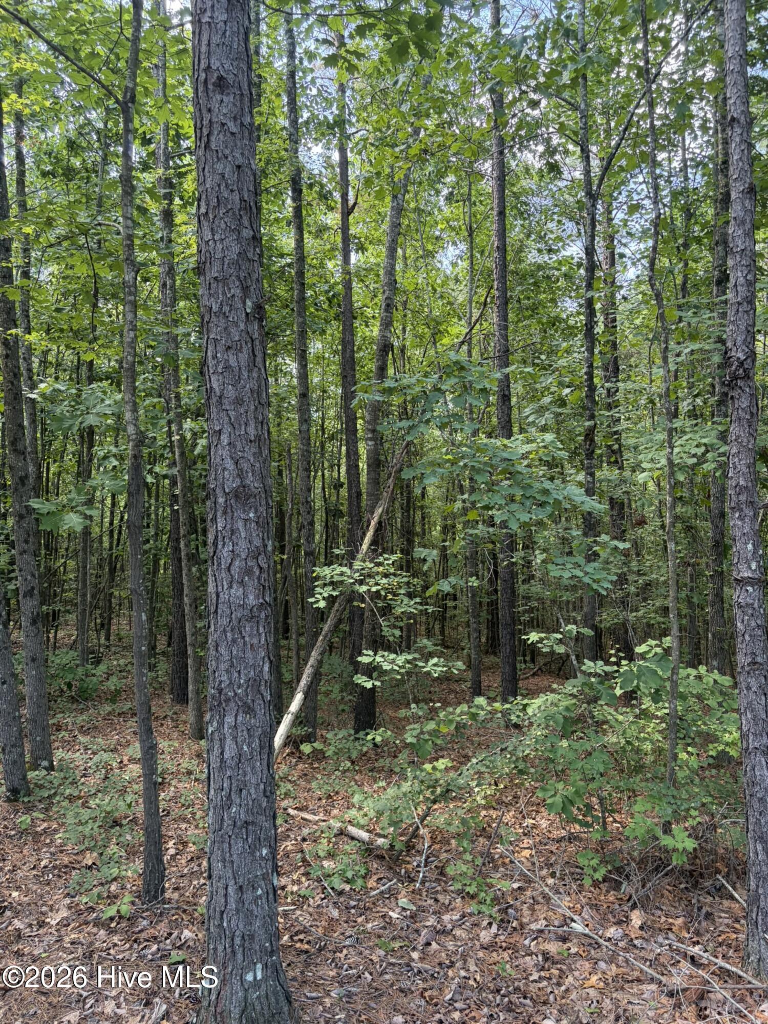 Tbd Green Road Ellerbe, NC 28338 - Photo 10 of 23