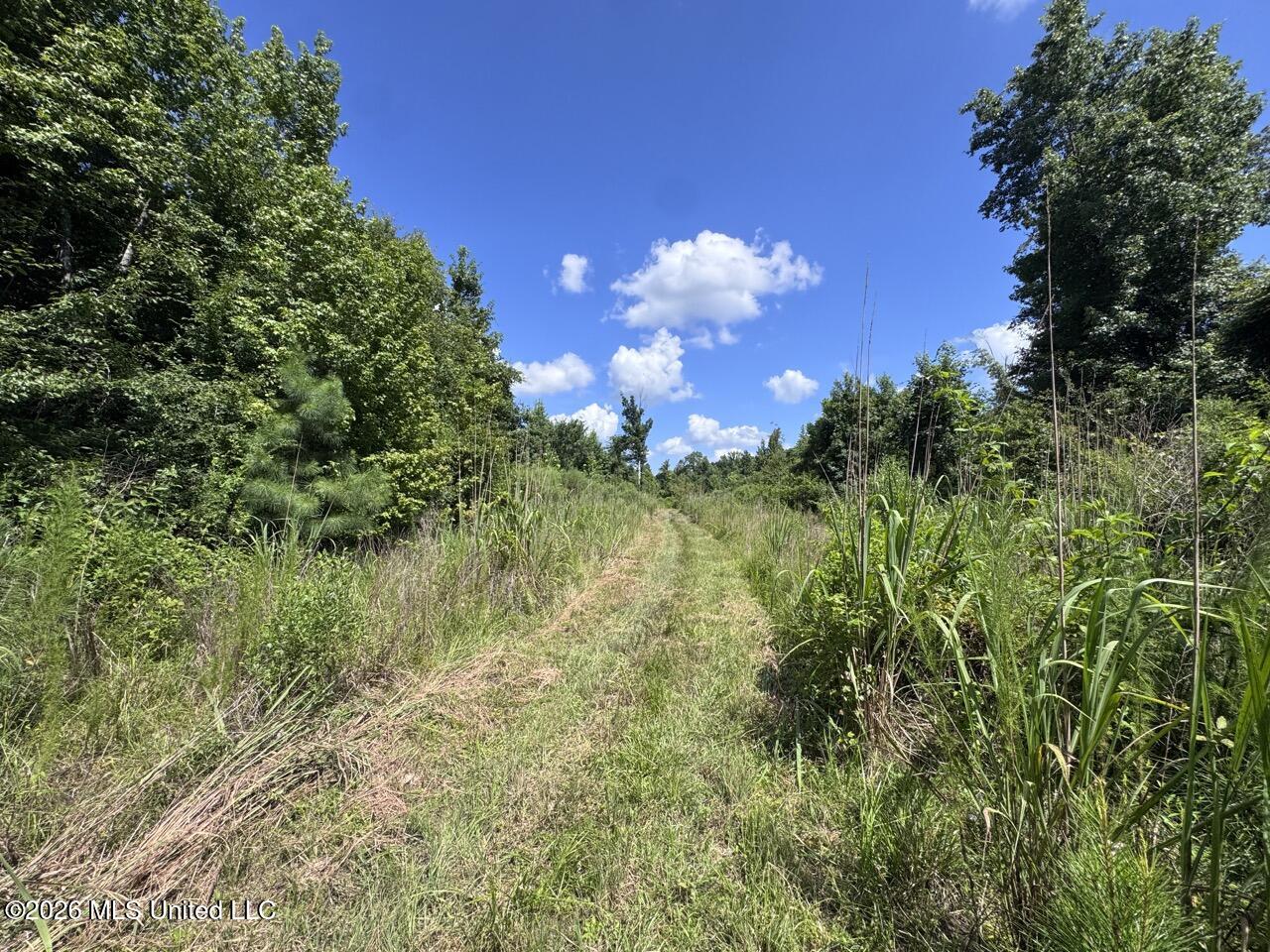 Pam Road Aimwell, LA 71401 - Photo 26 of 38 IMG_3865 Large