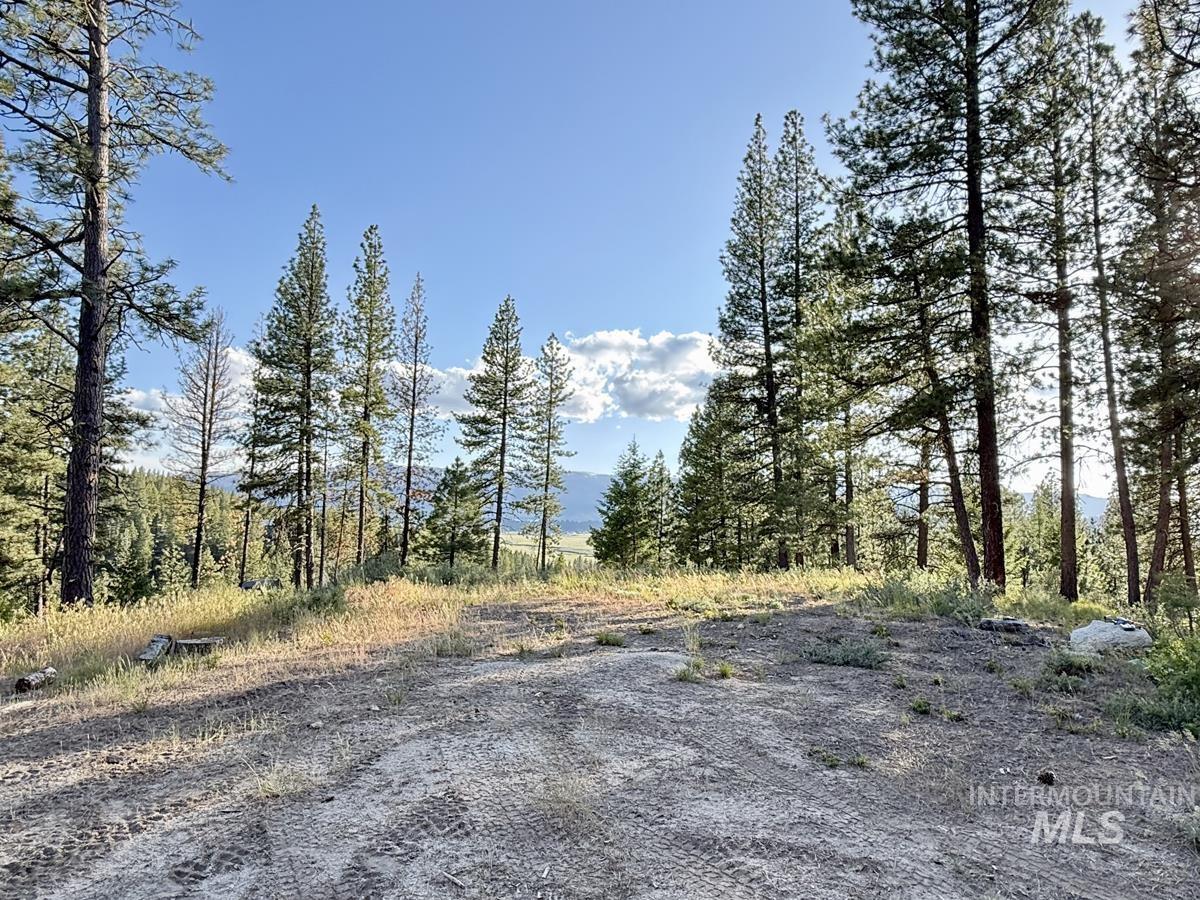 18 Tito Trail Cascade, ID 83611 - Photo 4 of 10