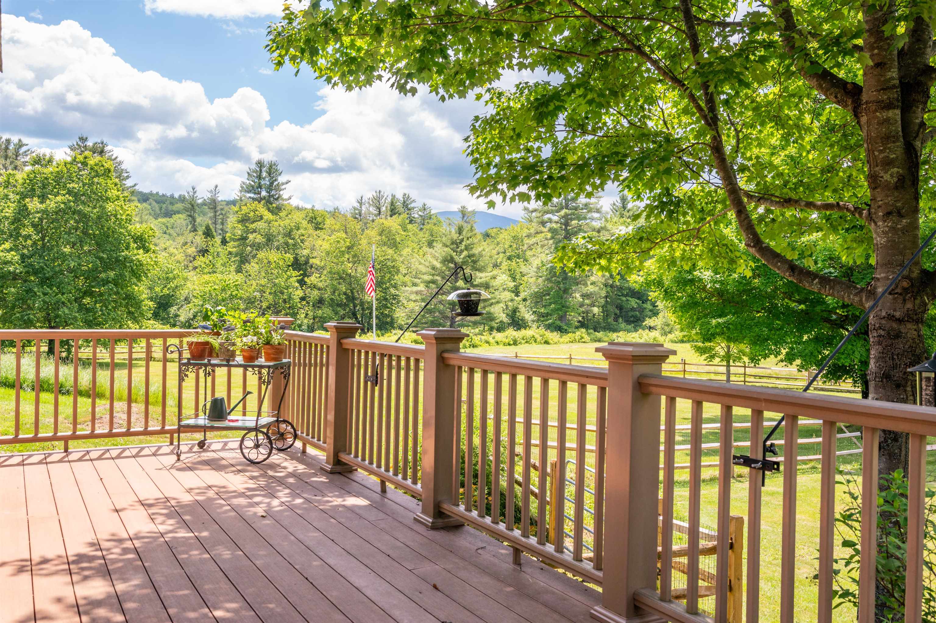 252 Shindagan Road Wilmot, NH 03287 - Photo 52 of 60