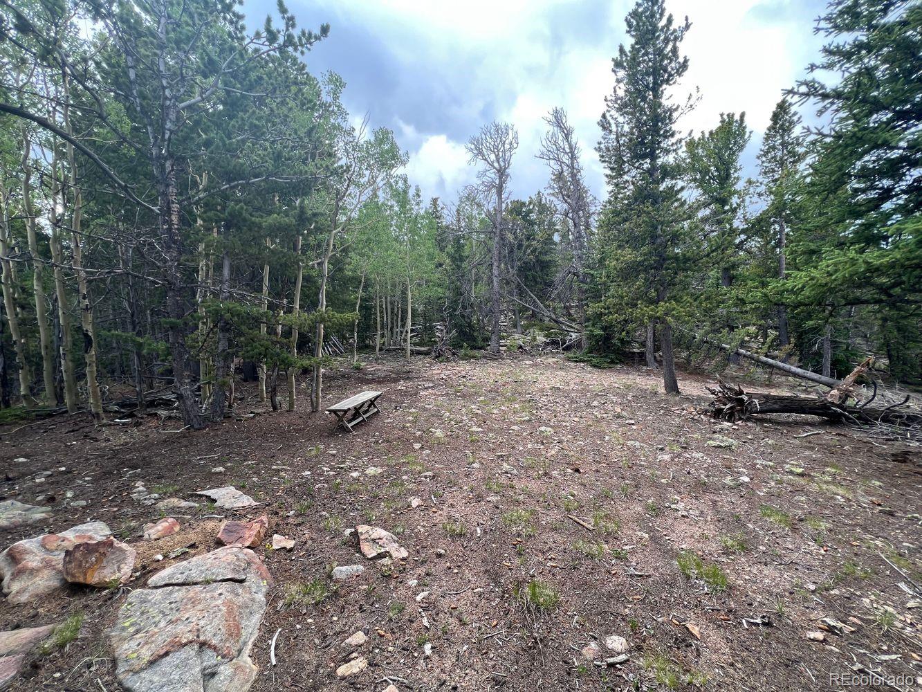 0 Hidden Wilderness Road Evergreen, CO 80439 - Photo 17 of 29