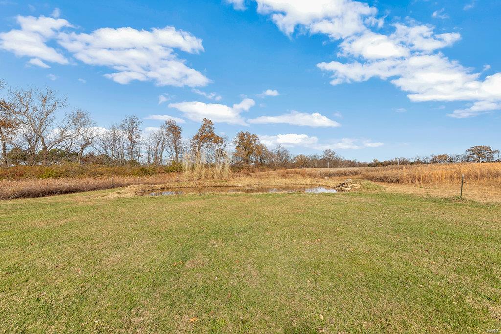 6023 Martini Road Waterloo, IL 62298 - Photo 81 of 99