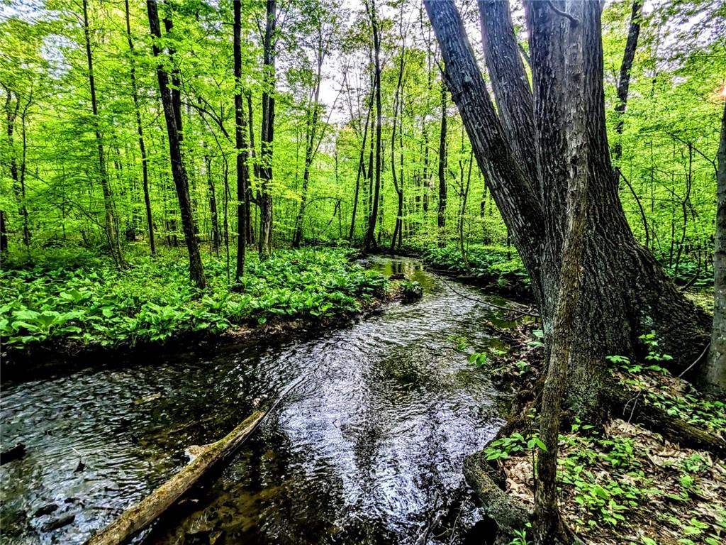 208 Tbd Route Wallkill, NY 12589 - Photo 1 of 1