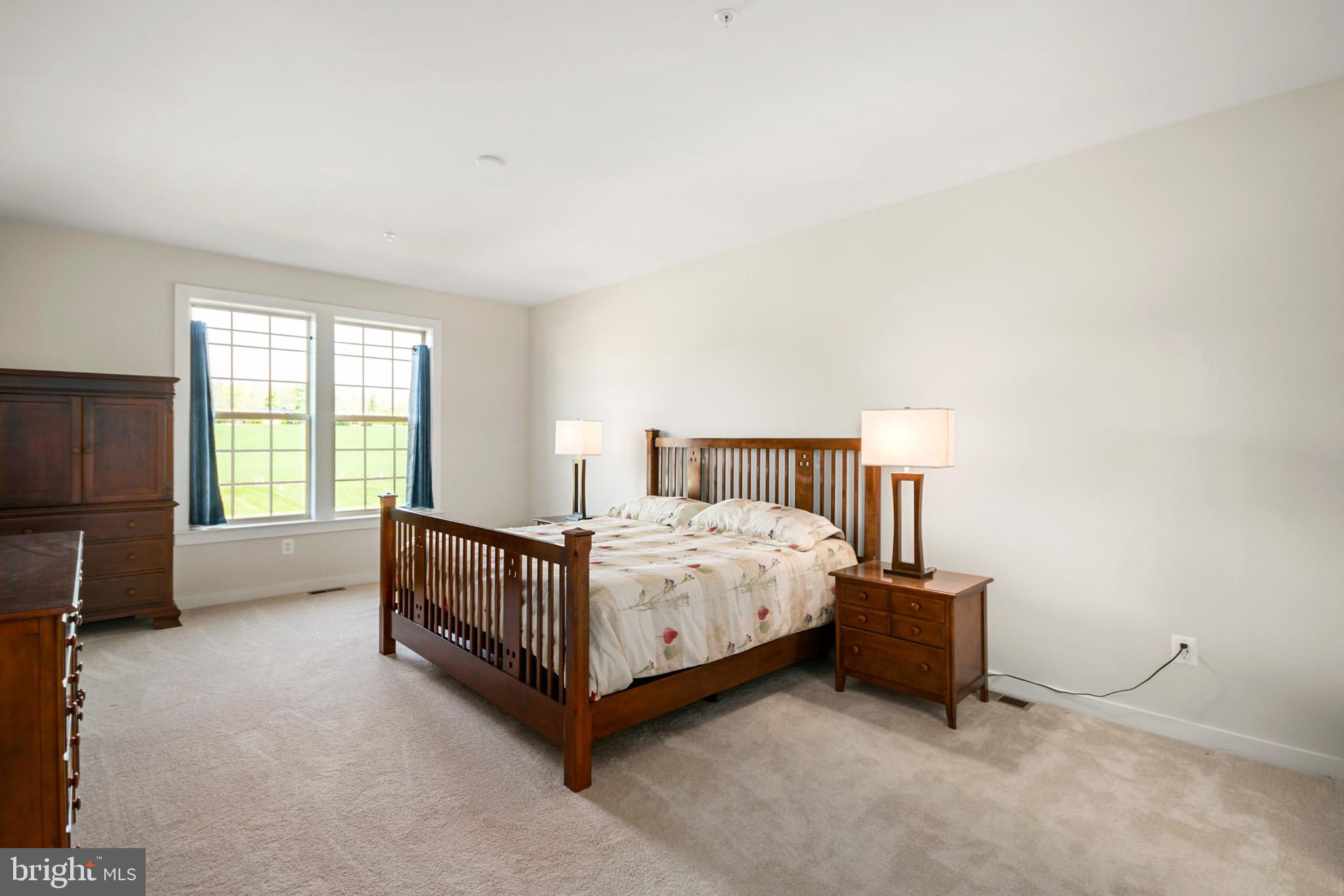 1437 Ricketts Road Frederick, MD 21702 - Photo 7 of 41 Main Floor Primary Suite