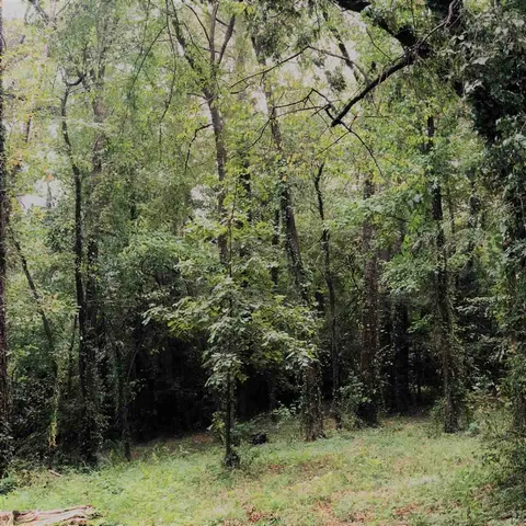 $215,000 | Douglass Drive, Jackson, MS 39211