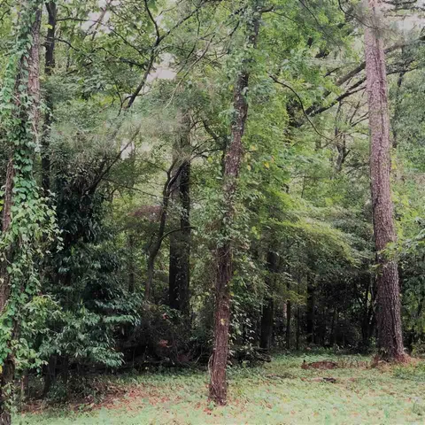 $215,000 | Douglass Drive, Jackson, MS 39211