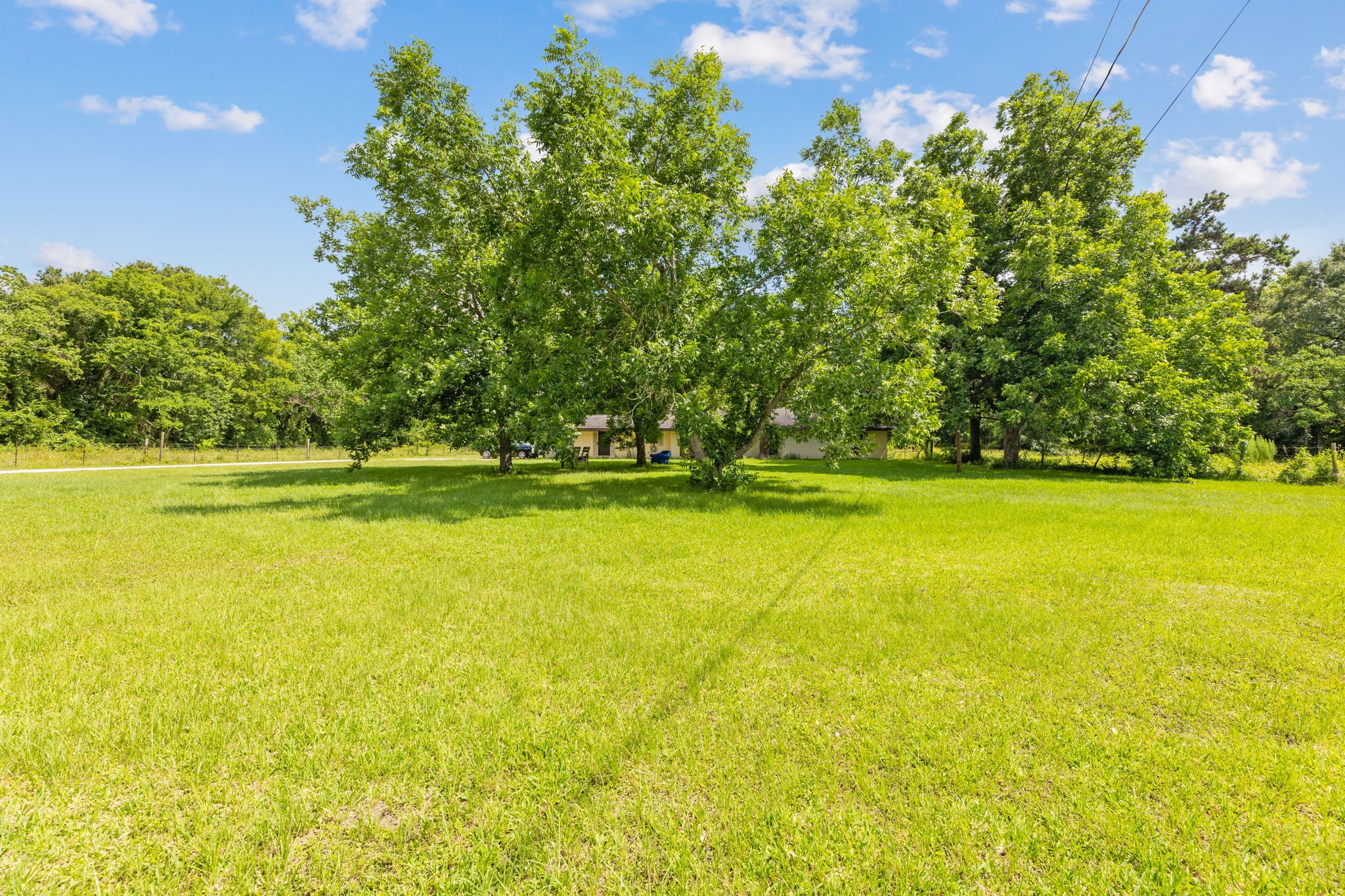 7705 Rankin Road Humble, TX 77396 - Photo 3 of 15