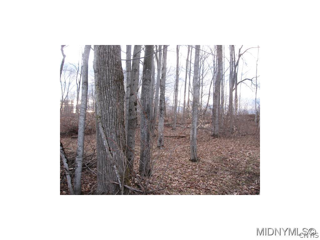 0 Zoller Road Little Falls, NY 13365 - Photo 1 of 1 Gallery Image 1