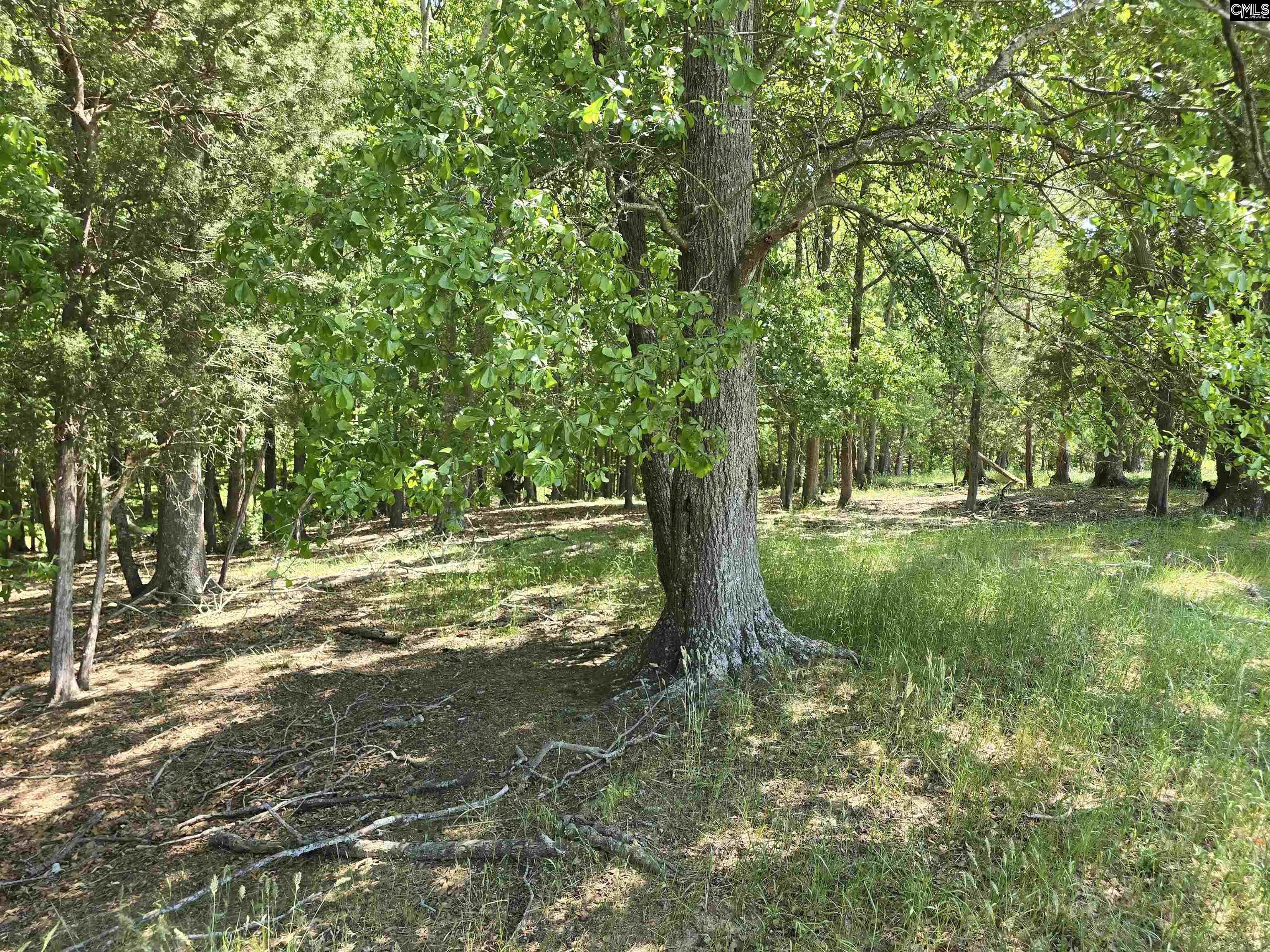 542 Pea Ridge Highway Jonesville, SC 29353 - Photo 46 of 72
