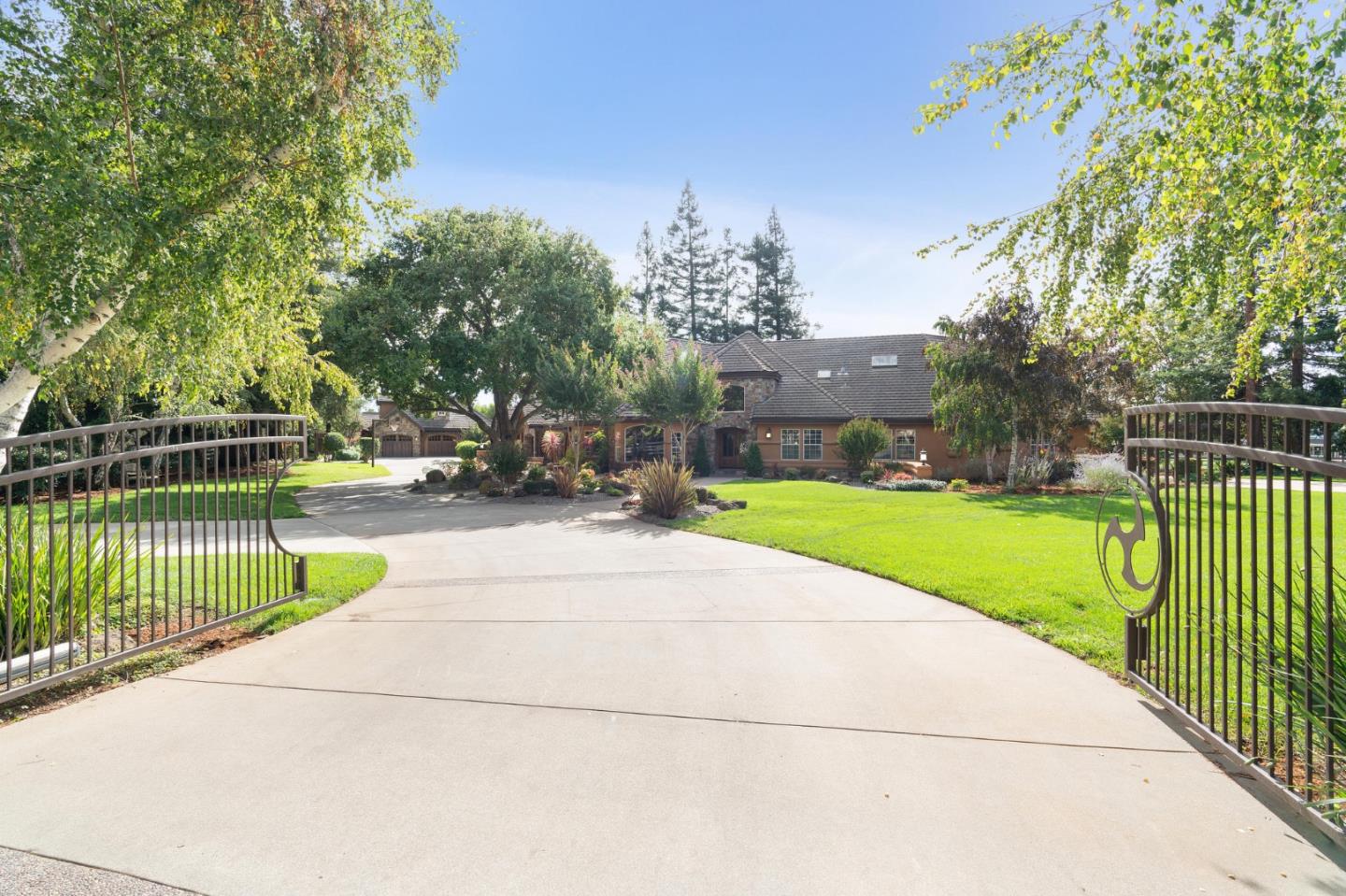 a view of a park with large trees
