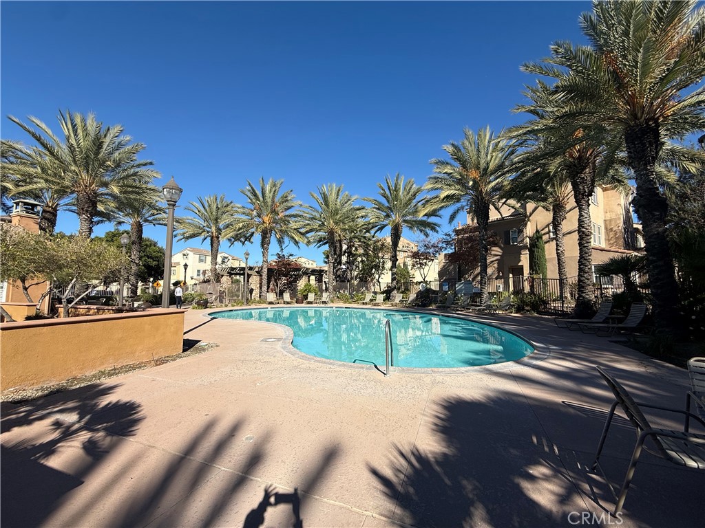 44965 Blue Rosemary Way Temecula, CA 92592 - Photo 23 of 25 a view of backyard with swimming pool and palm trees