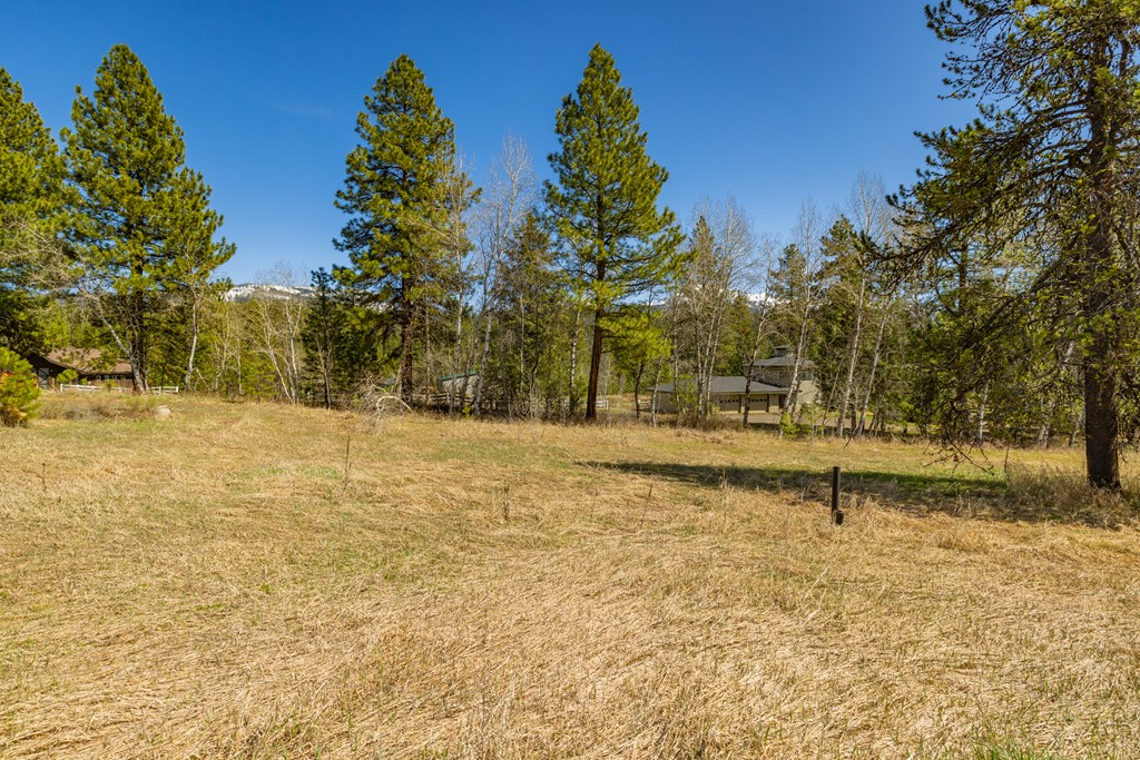 Tbd Morell Road McCall, ID 83638 - Photo 12 of 22
