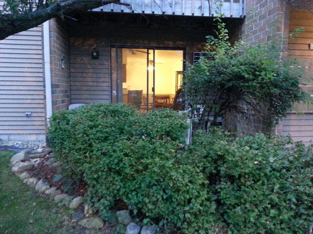 633 South Virginia Road, Unit 113 Crystal Lake, IL 60014 - Photo 2 of 16