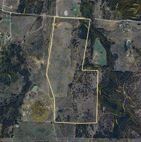 a close up of a plant