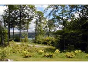9 Bunker Road New London, NH 03257 - Photo 1 of 2 Gallery Image 1